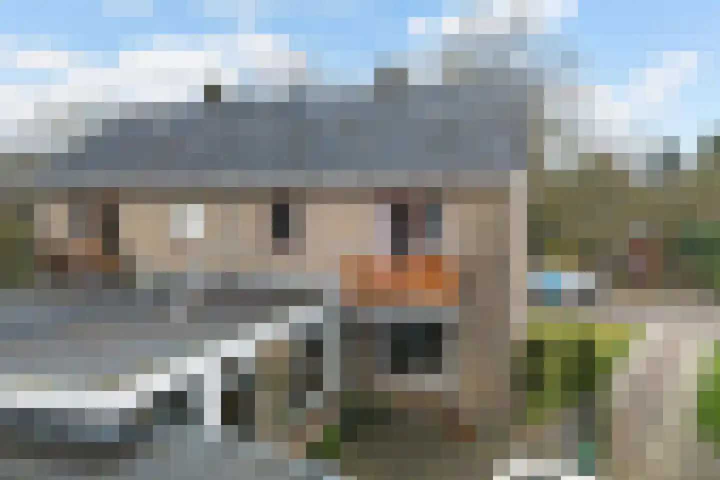 Loosboersstraat 43 Markelo thumbnail 5