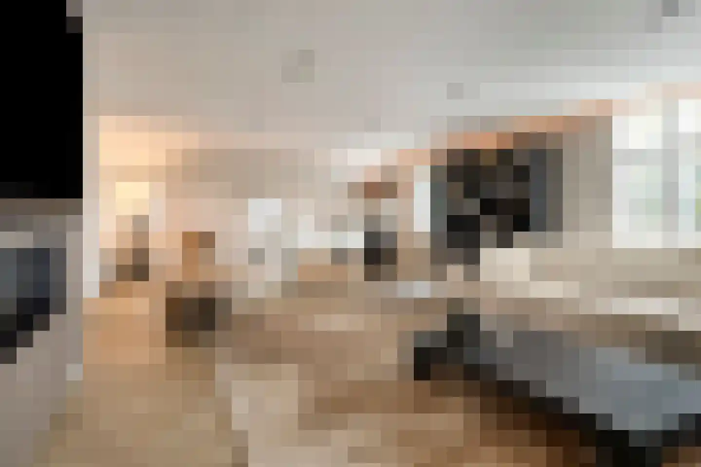 Loosbroeksestraat 10 Heesch thumbnail 14