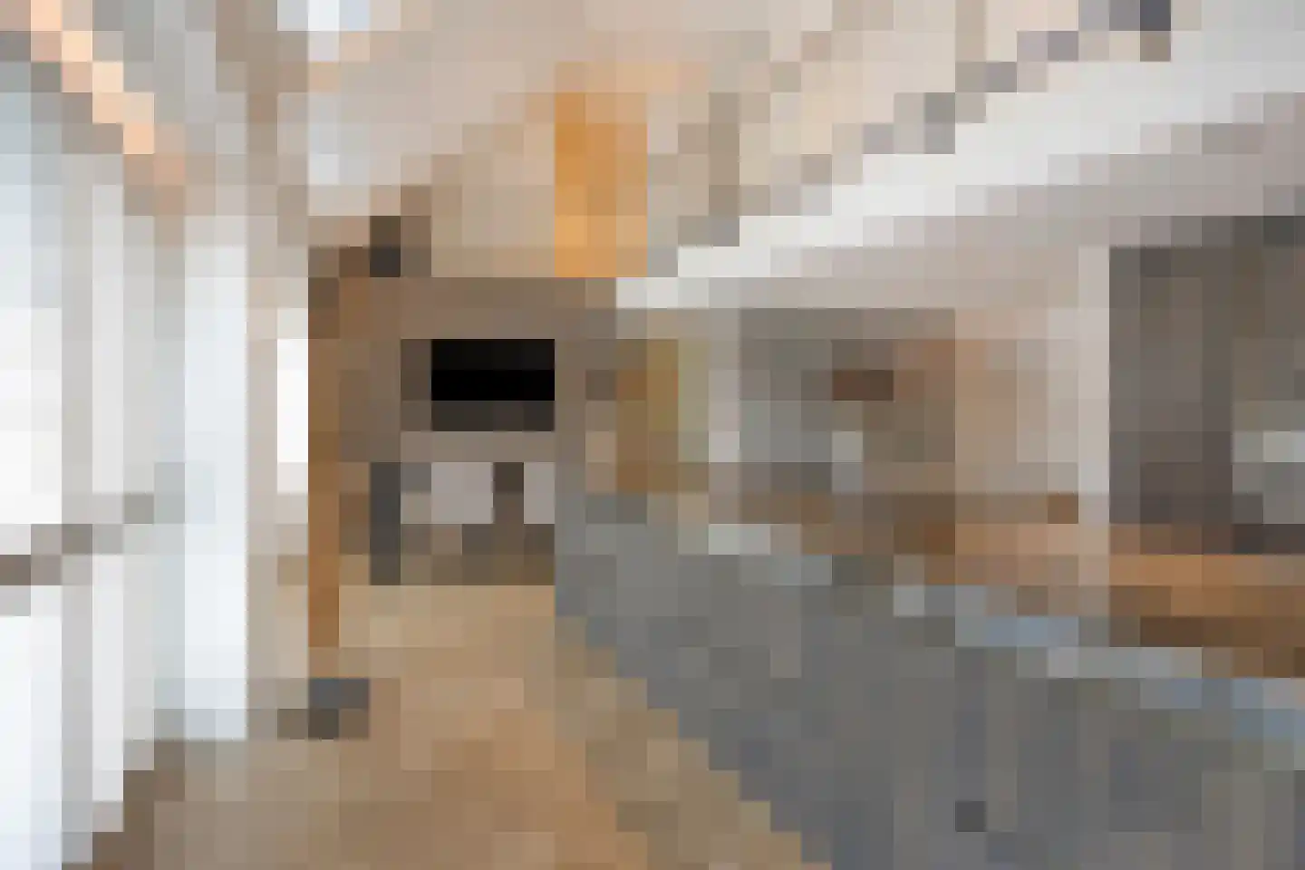 Loosbroeksestraat 10 Heesch thumbnail 19