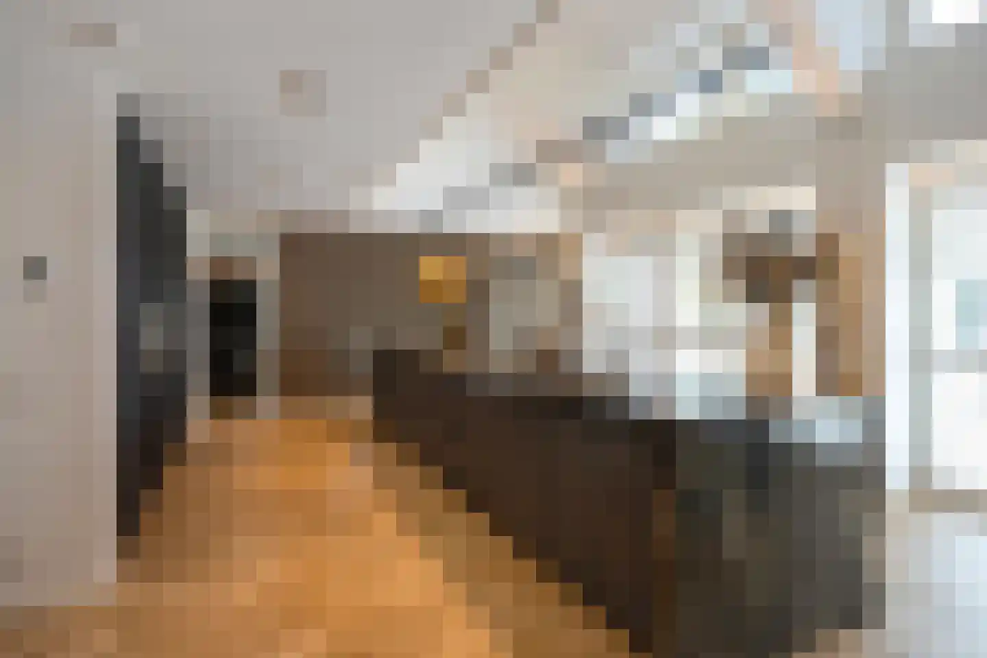 Loosbroeksestraat 10 Heesch thumbnail 21