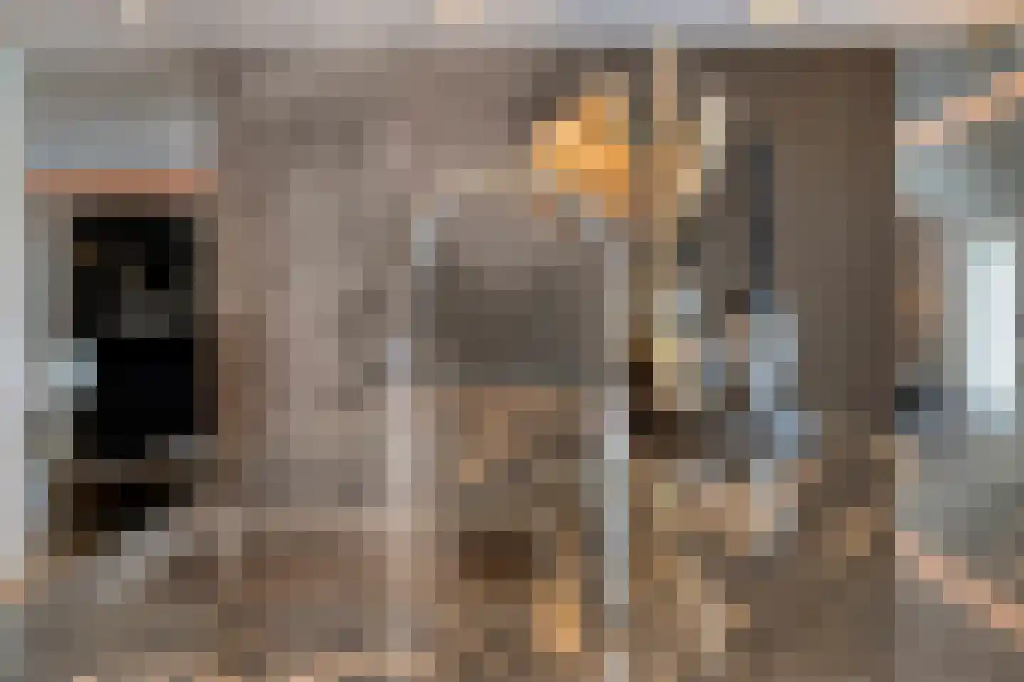 Loosbroeksestraat 10 Heesch thumbnail 22