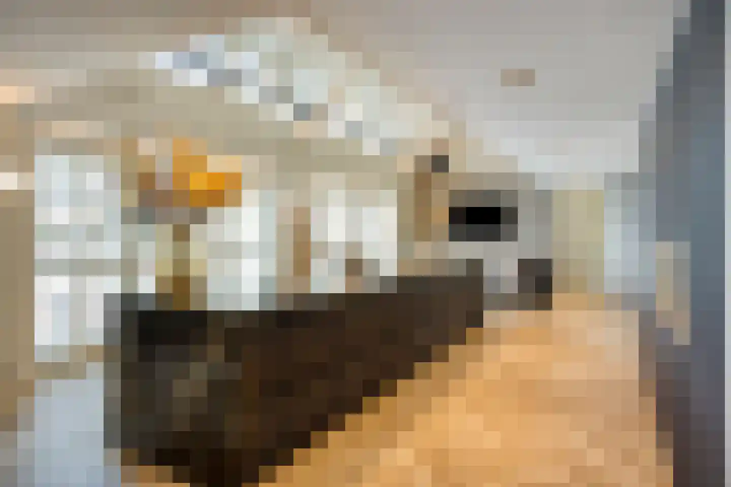 Loosbroeksestraat 10 Heesch thumbnail 24