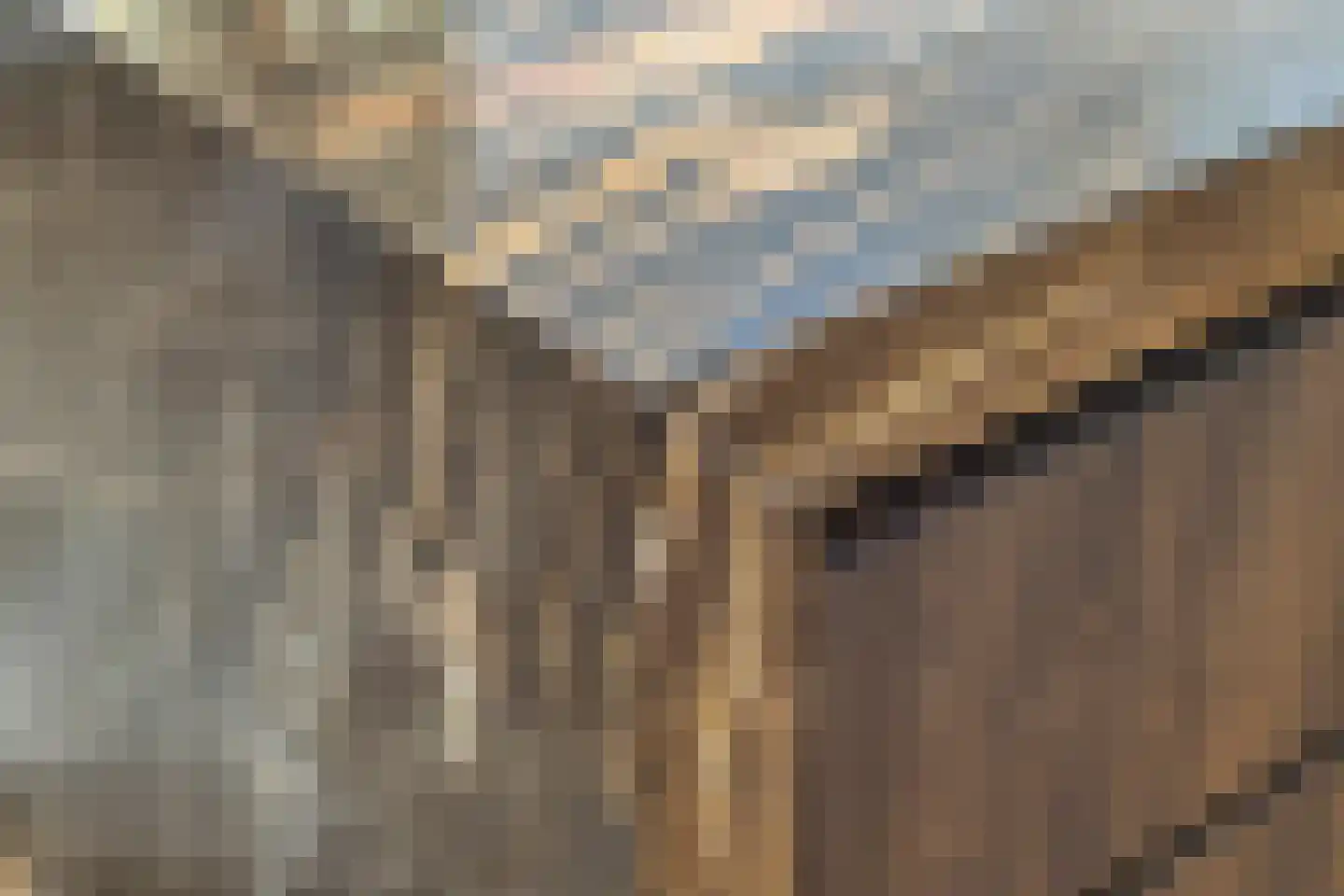 Loosbroeksestraat 10 Heesch thumbnail 25