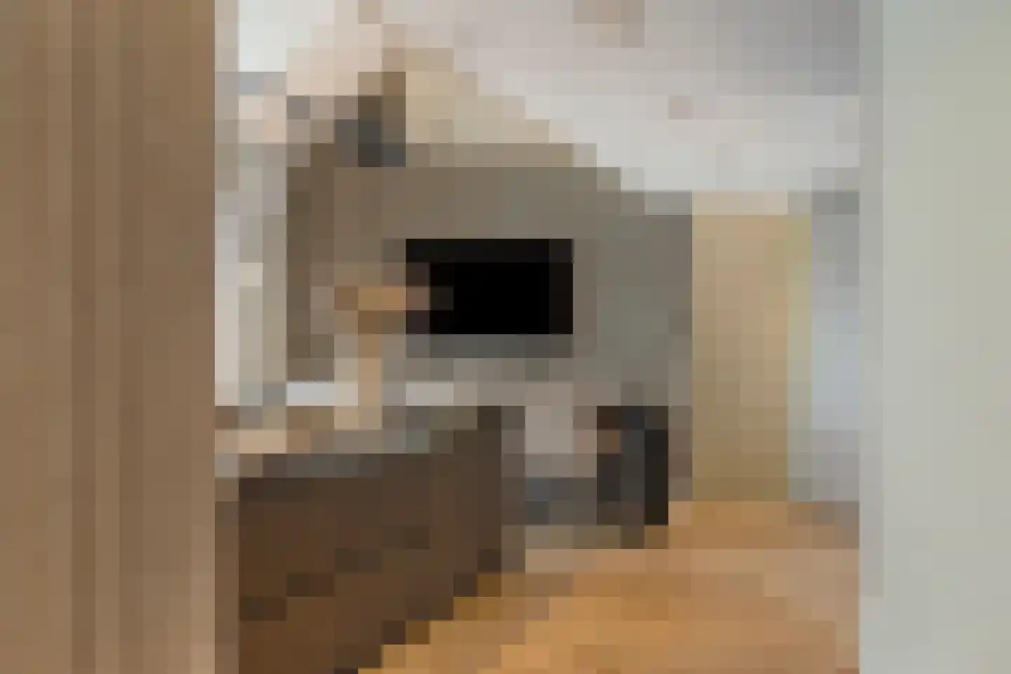 Loosbroeksestraat 10 Heesch thumbnail 26