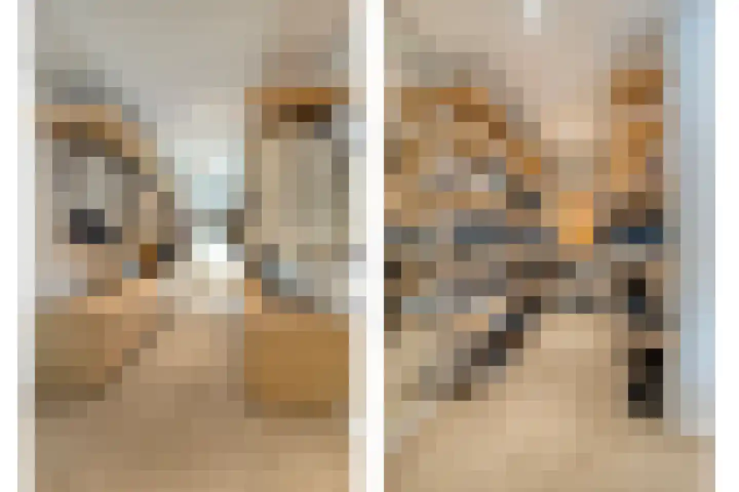Loosbroeksestraat 10 Heesch thumbnail 32