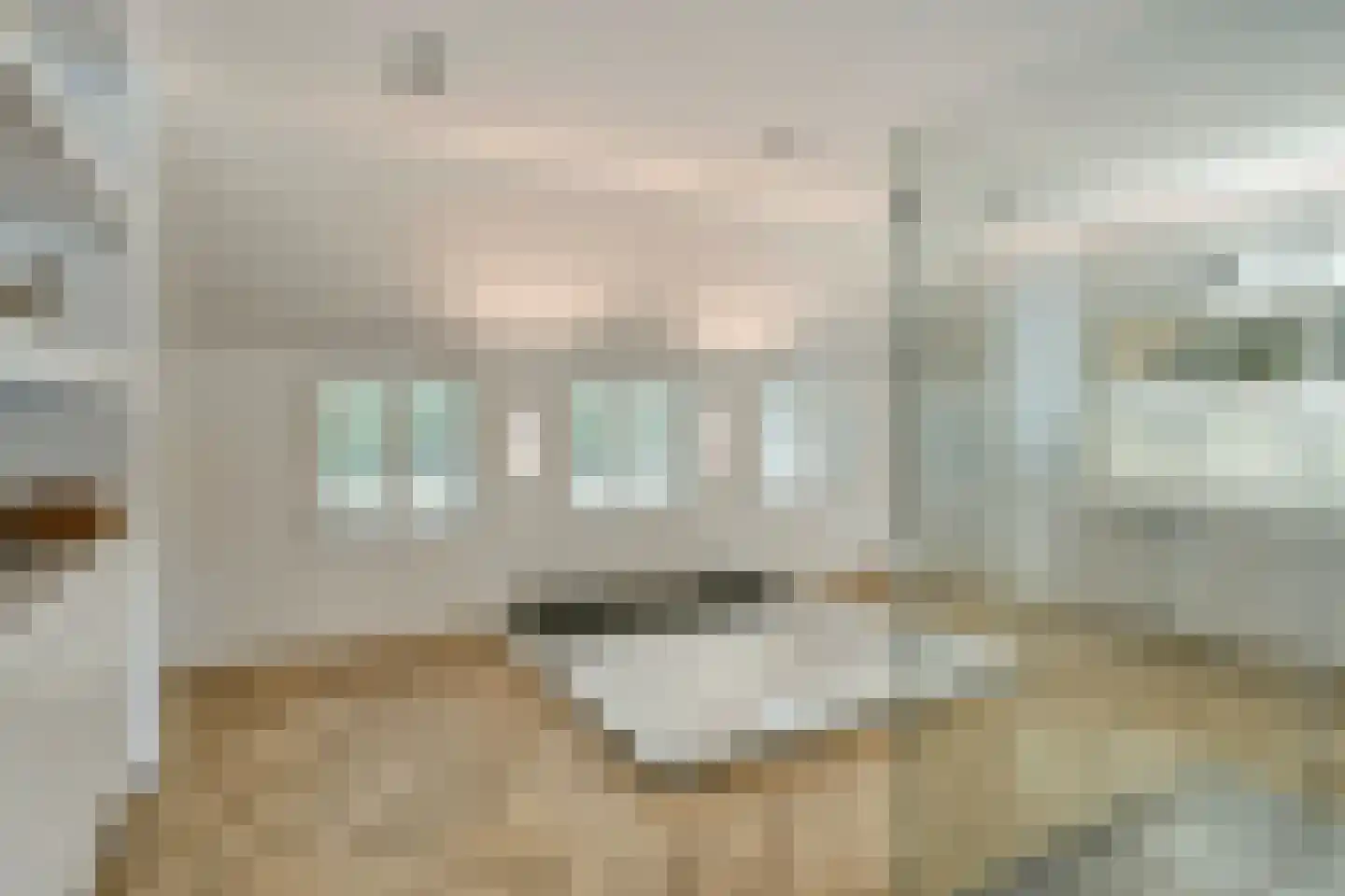 Loosbroeksestraat 10 Heesch thumbnail 33