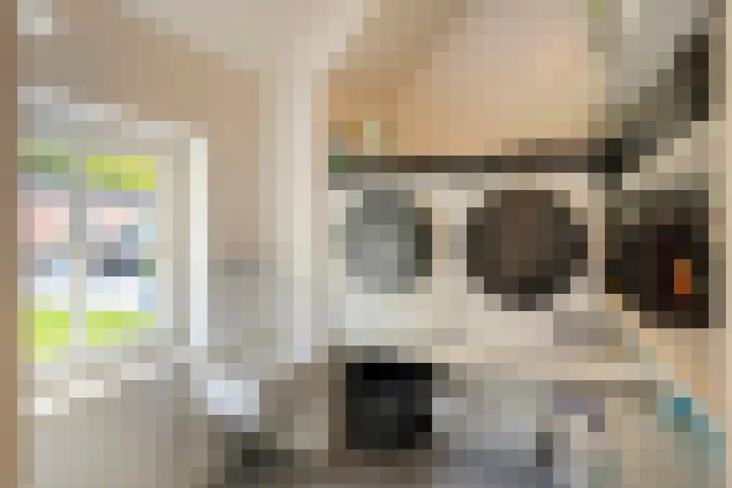 Loosbroeksestraat 10 Heesch thumbnail 40