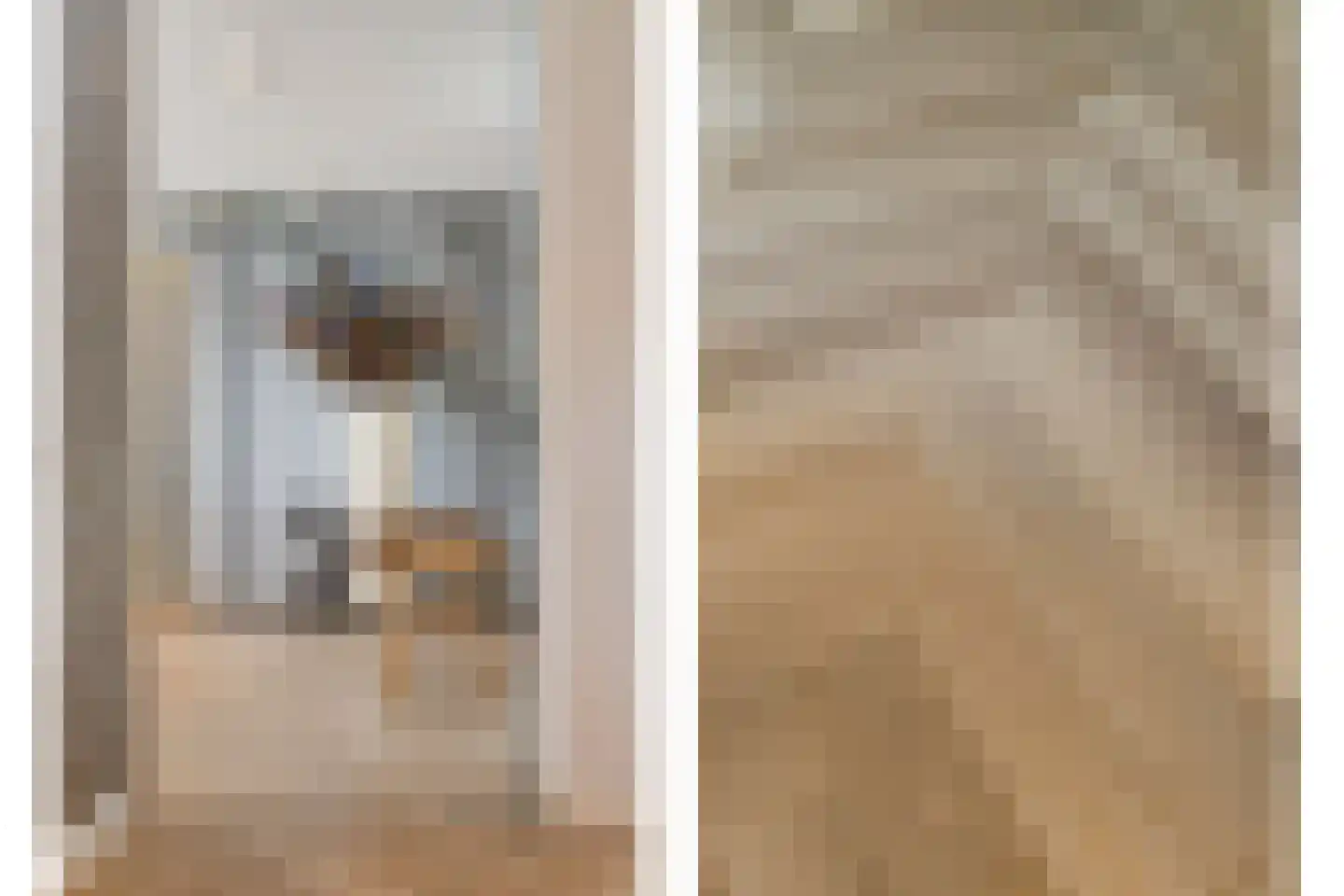 Loosbroeksestraat 10 Heesch thumbnail 42