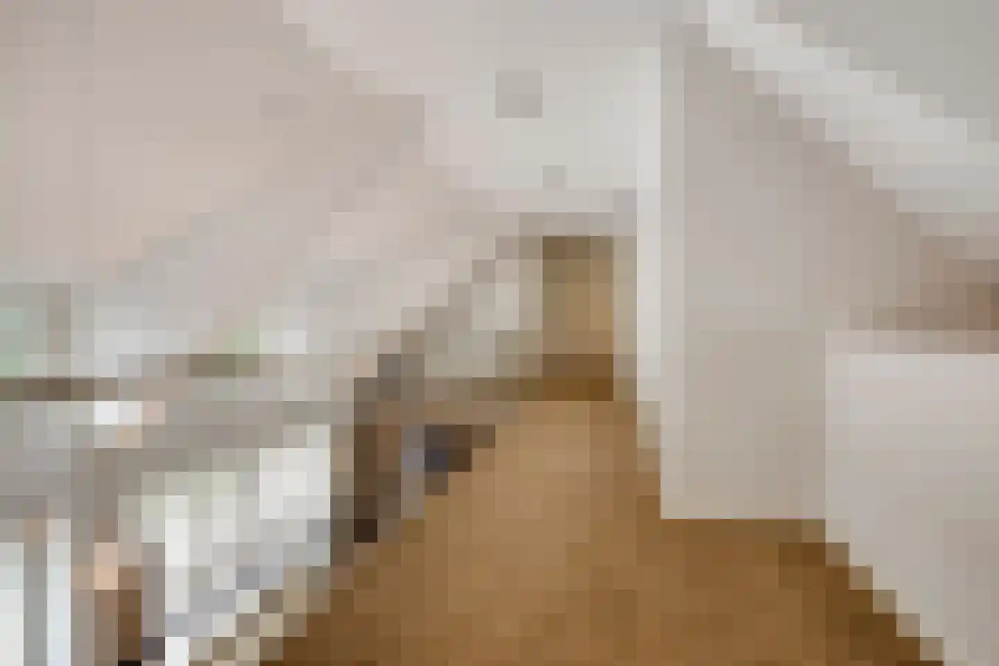 Loosbroeksestraat 10 Heesch thumbnail 43