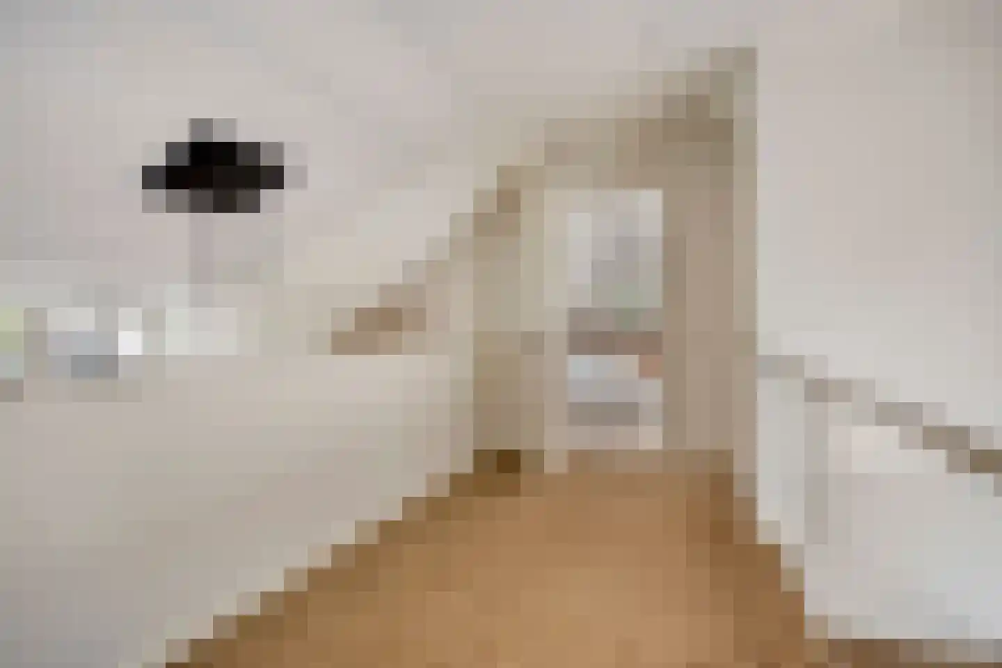 Loosbroeksestraat 10 Heesch thumbnail 44