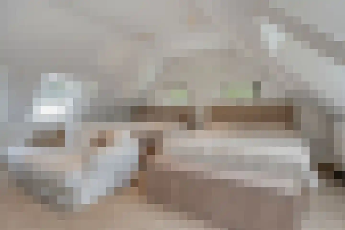 Loosbroeksestraat 10 Heesch thumbnail 46