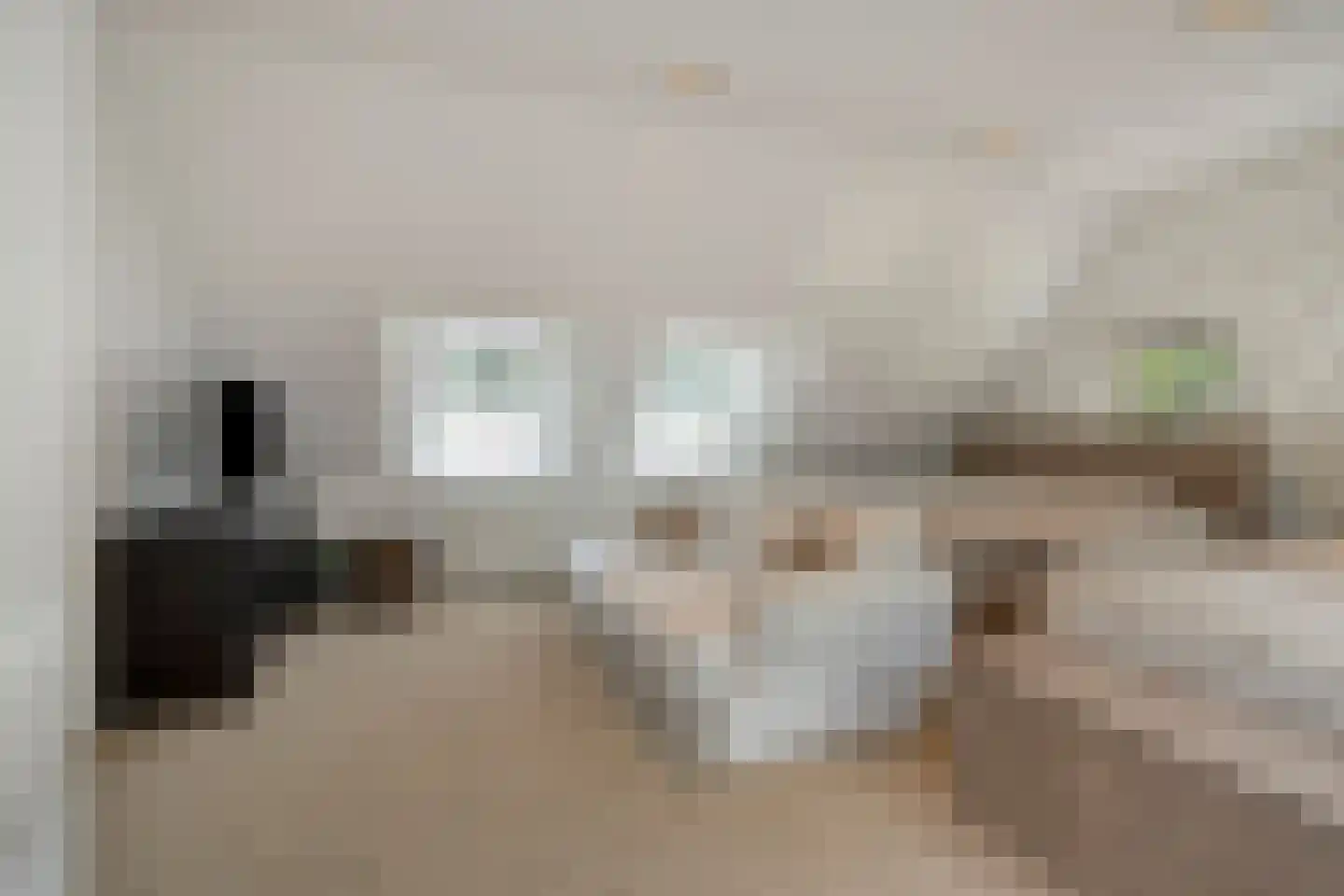Loosbroeksestraat 10 Heesch thumbnail 47