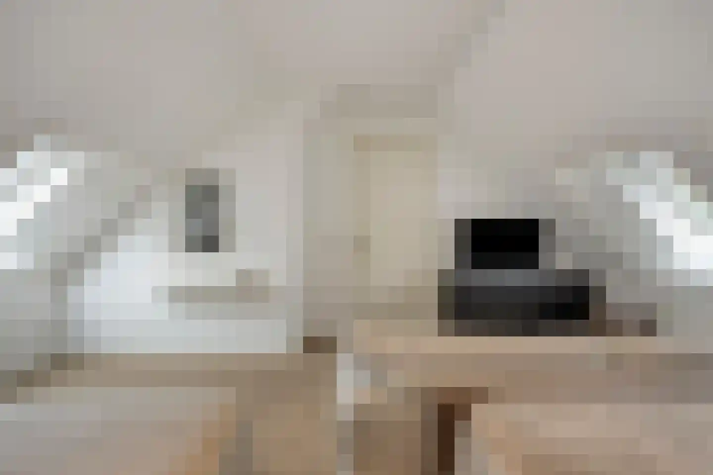 Loosbroeksestraat 10 Heesch thumbnail 48