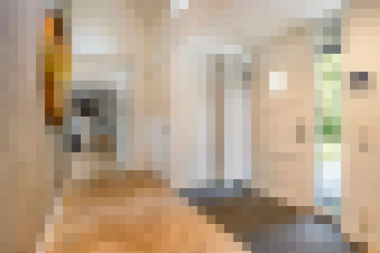 Loosbroeksestraat 10 Heesch thumbnail 5
