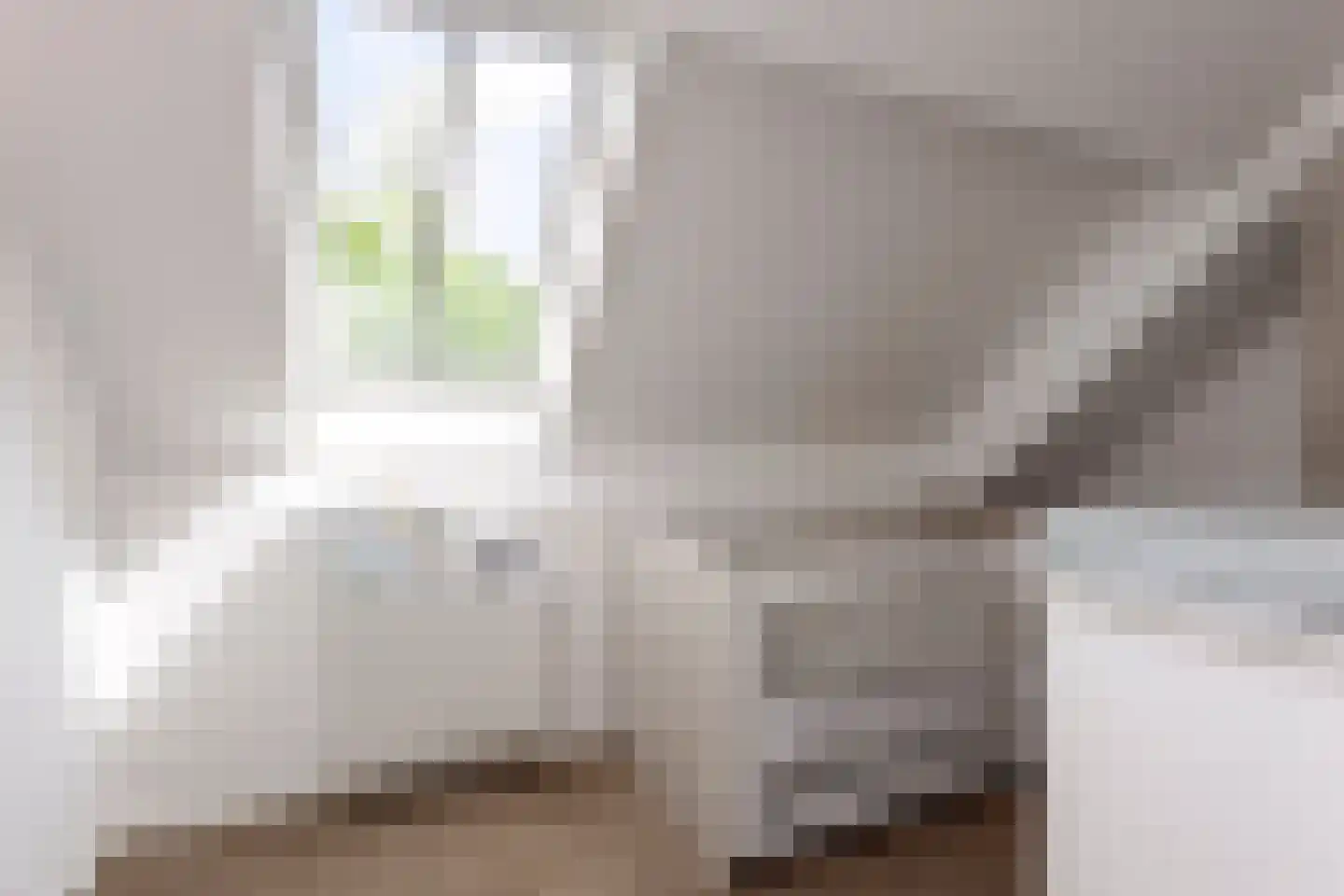 Loosbroeksestraat 10 Heesch thumbnail 50