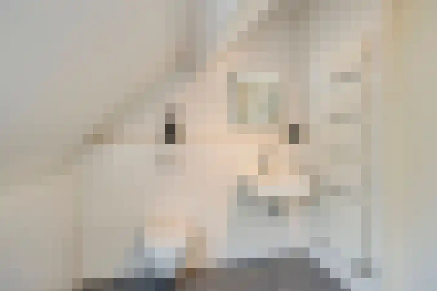 Loosbroeksestraat 10 Heesch thumbnail 51