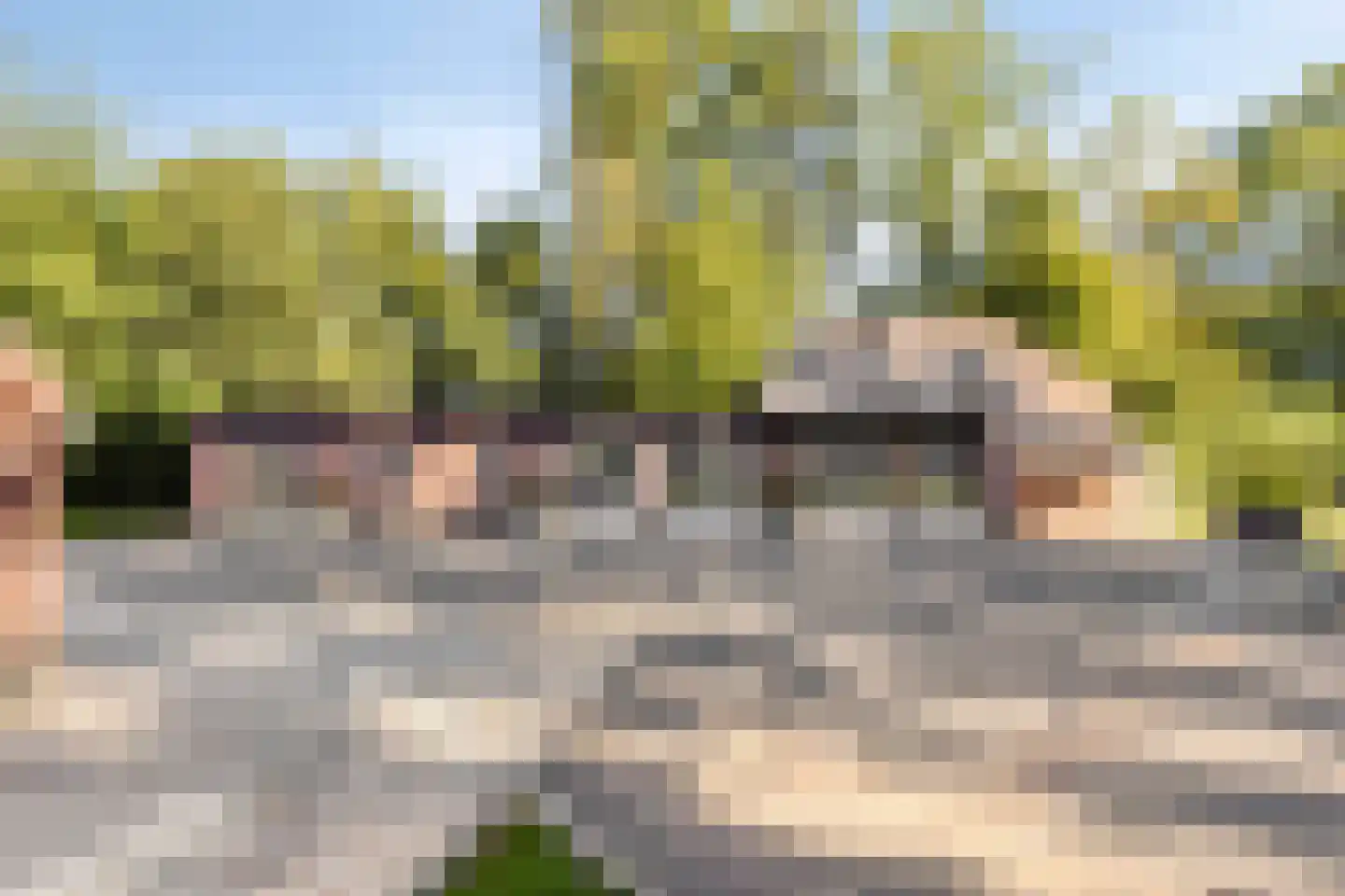 Loosbroeksestraat 10 Heesch thumbnail 53