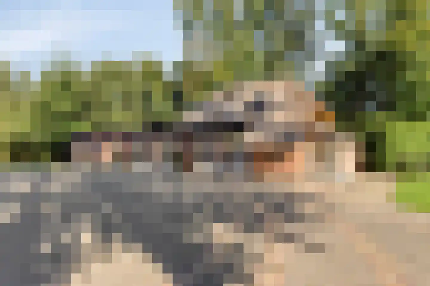 Loosbroeksestraat 10 Heesch thumbnail 54
