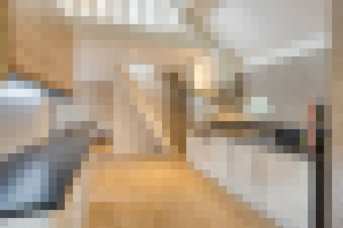 Loosbroeksestraat 10 Heesch thumbnail 56