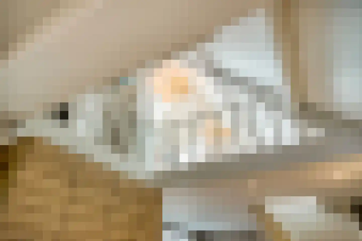 Loosbroeksestraat 10 Heesch thumbnail 58