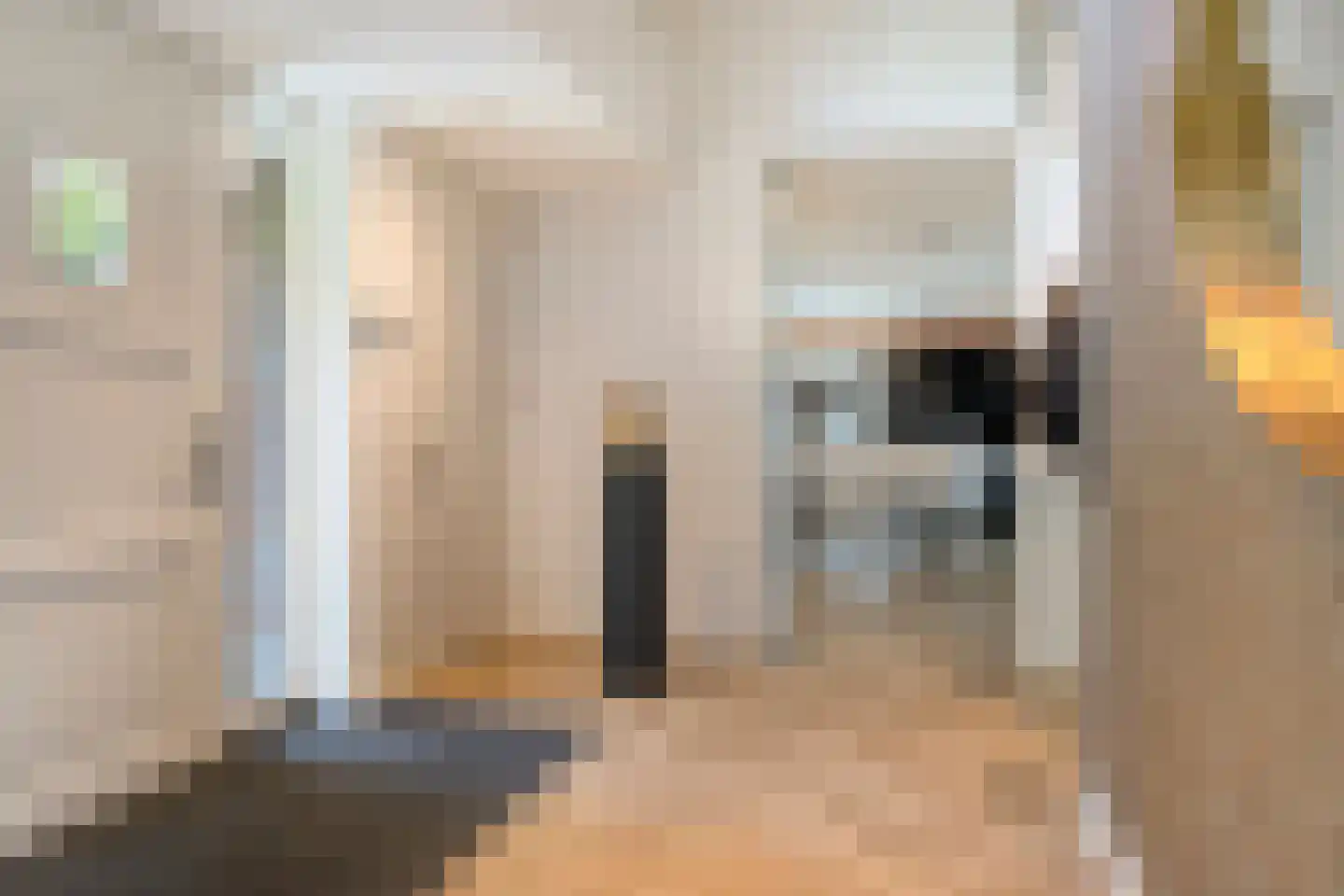 Loosbroeksestraat 10 Heesch thumbnail 6