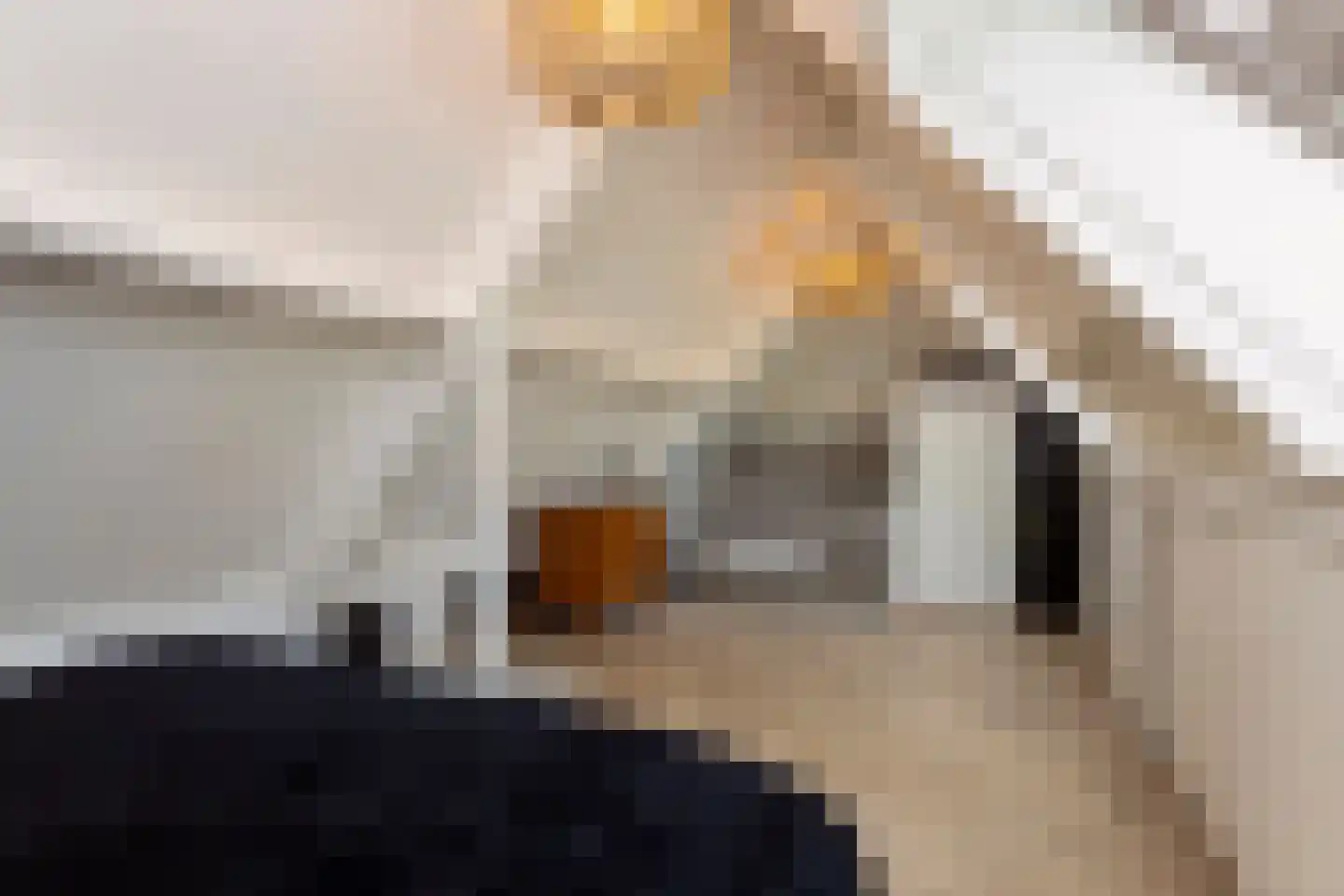 Loosbroeksestraat 10 Heesch thumbnail 69