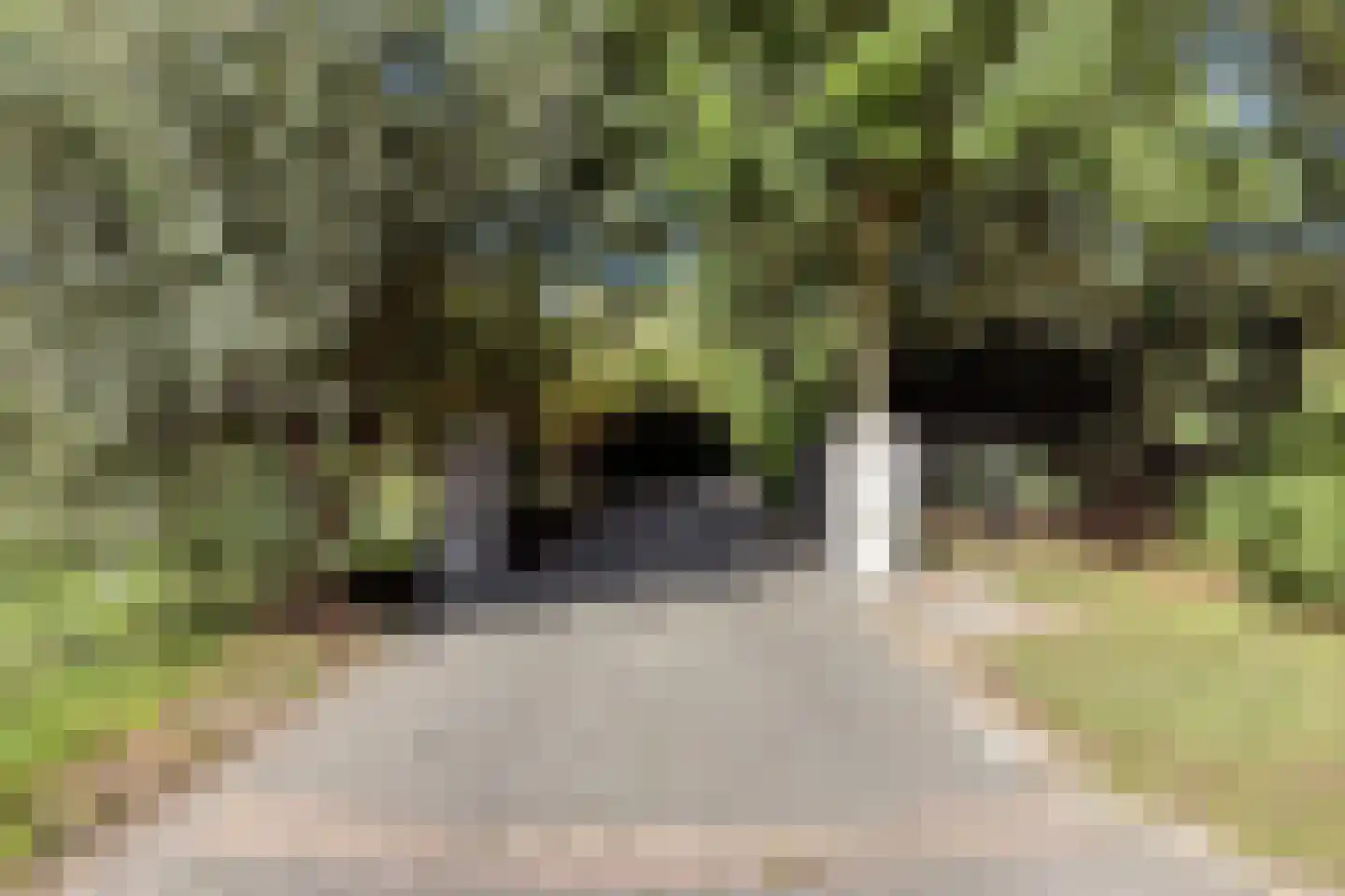 Loosbroeksestraat 10 Heesch thumbnail 74