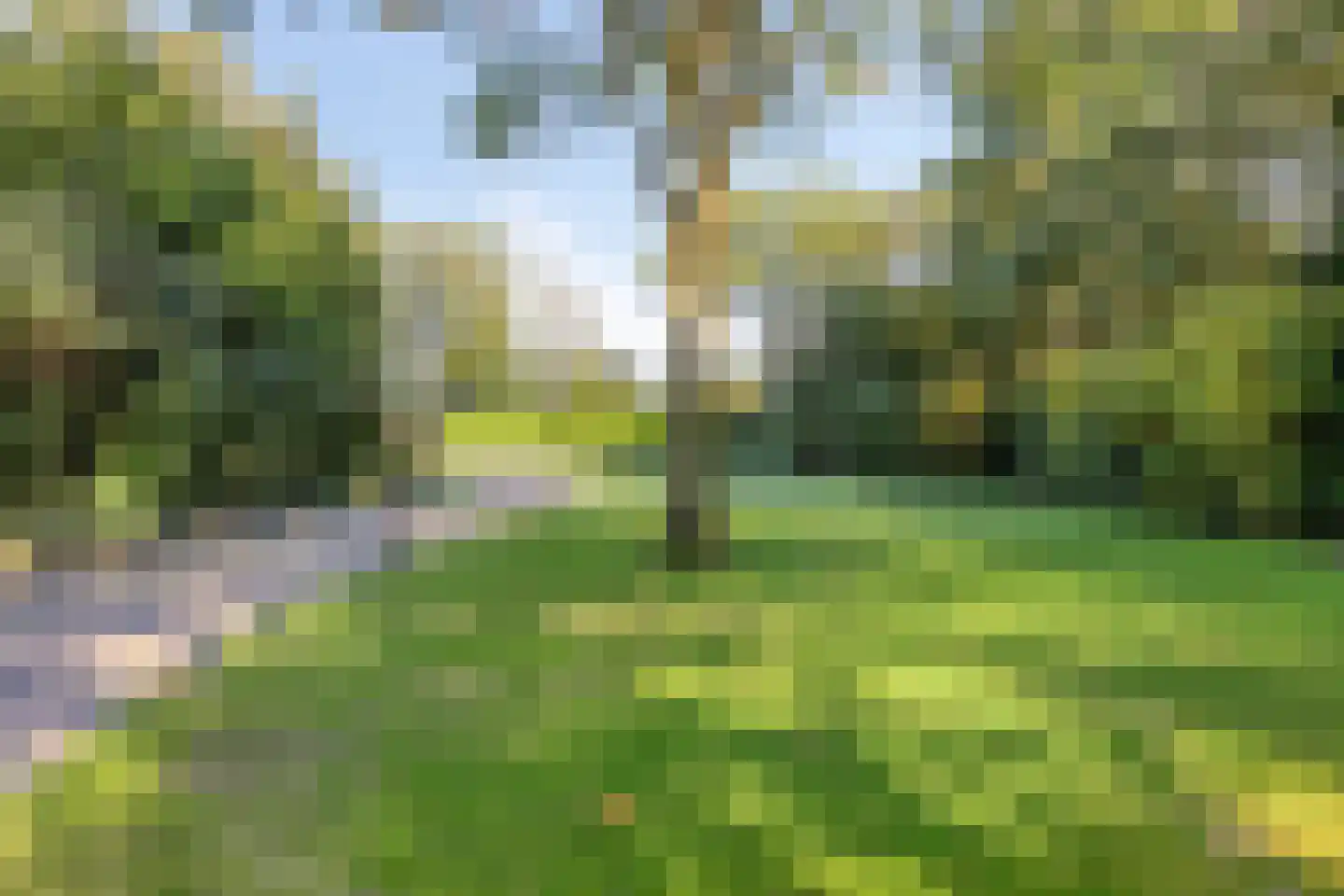 Loosbroeksestraat 10 Heesch thumbnail 75