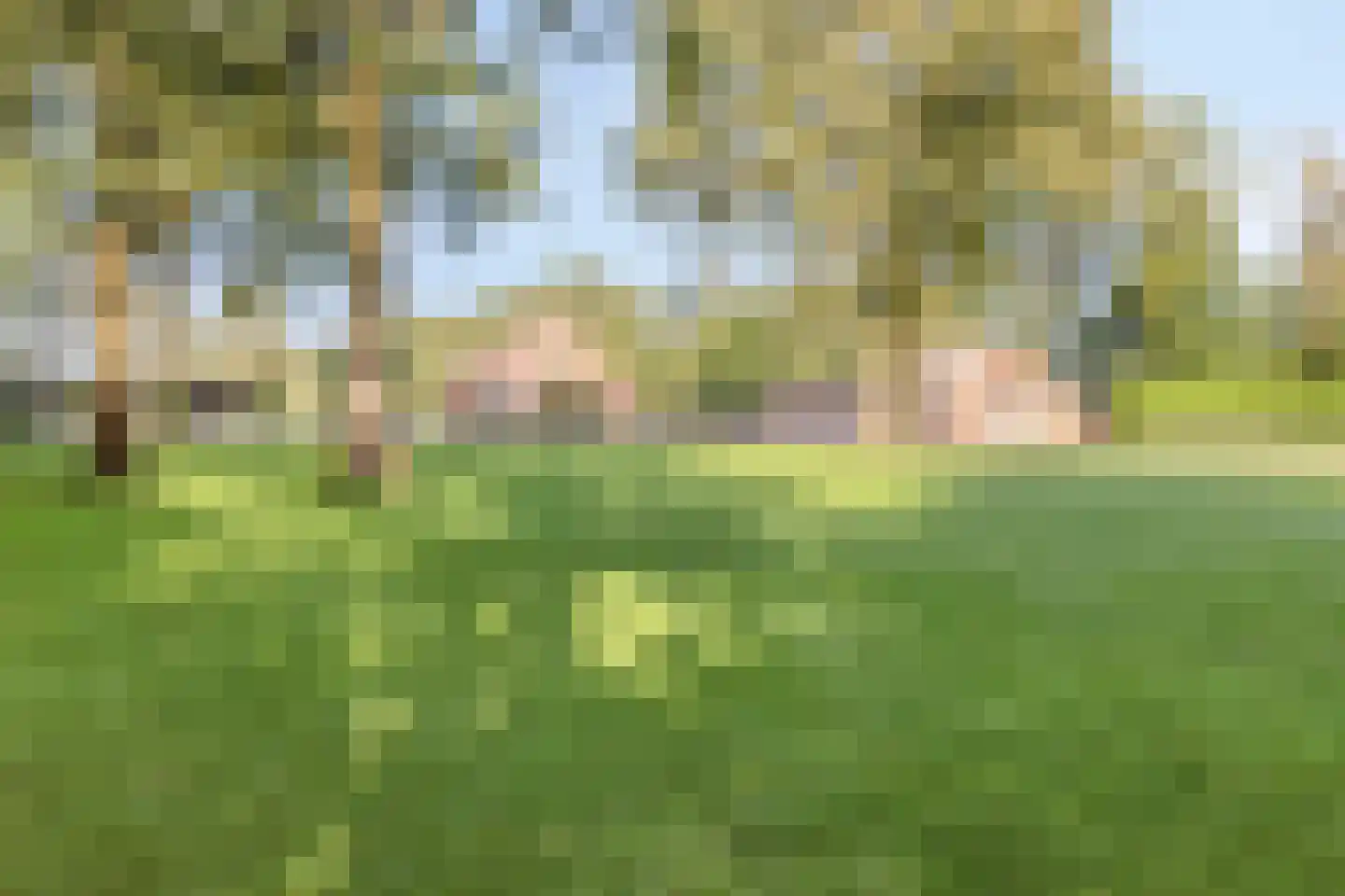 Loosbroeksestraat 10 Heesch thumbnail 78