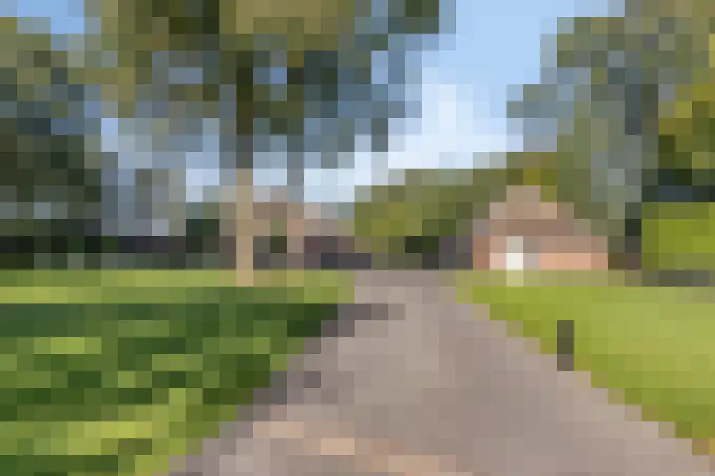 Loosbroeksestraat 10 Heesch thumbnail 79