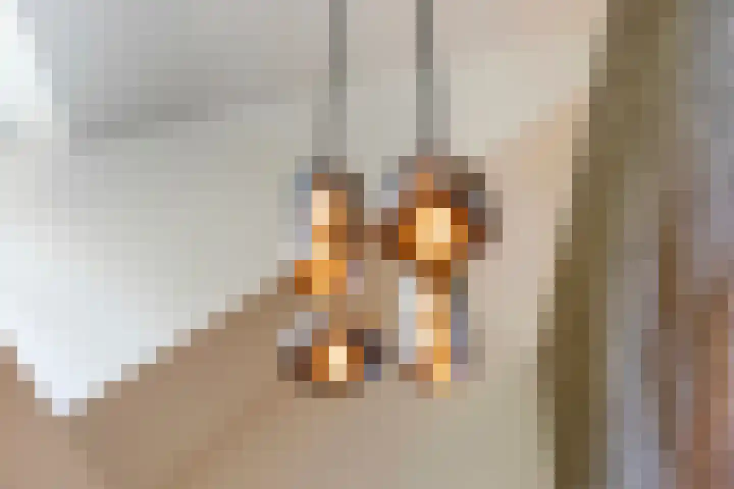 Loosbroeksestraat 10 Heesch thumbnail 8