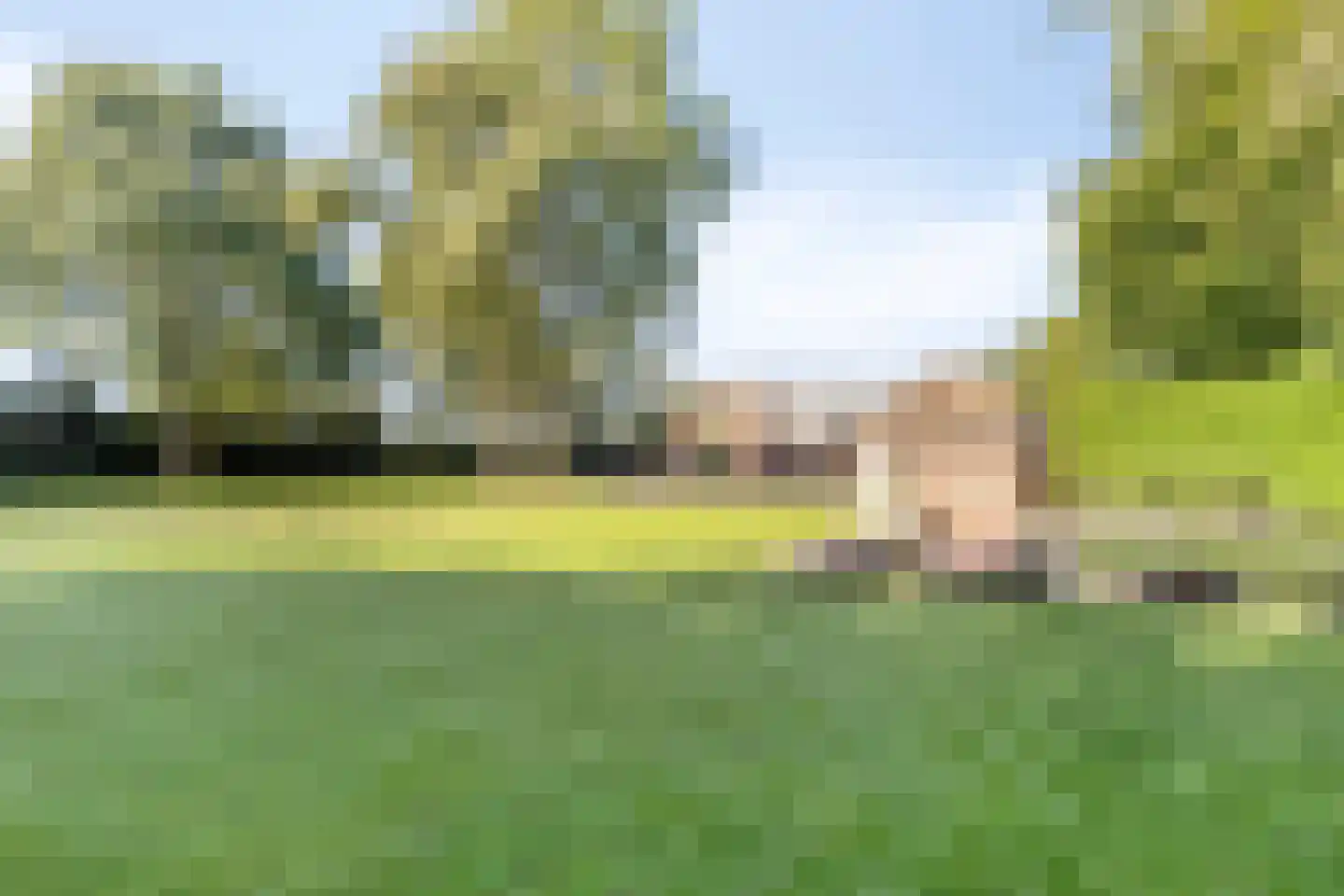Loosbroeksestraat 10 Heesch thumbnail 80