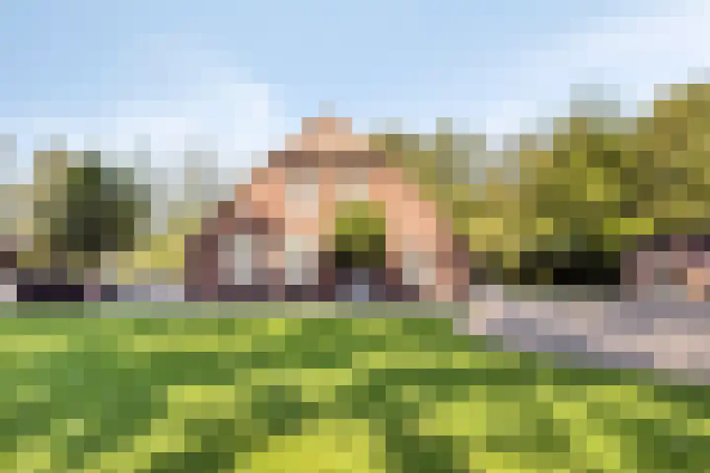 Loosbroeksestraat 10 Heesch thumbnail 83