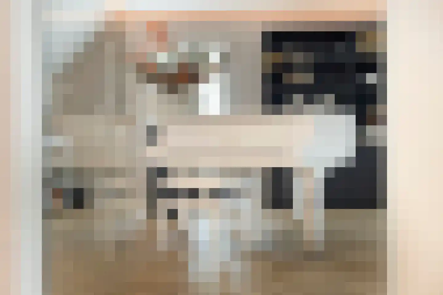 Loosbroeksestraat 10 Heesch thumbnail 9
