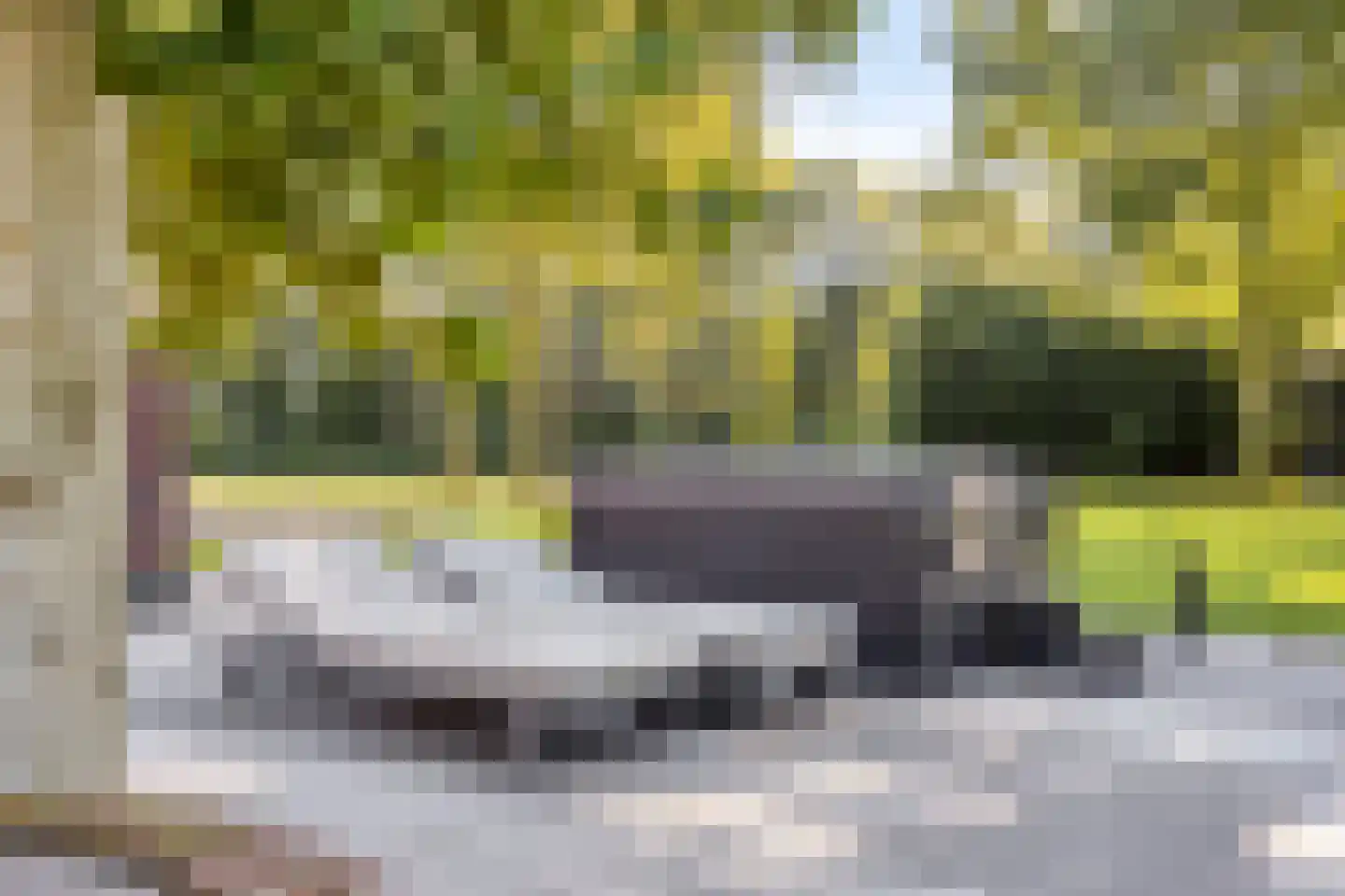 Loosbroeksestraat 10 Heesch thumbnail 90