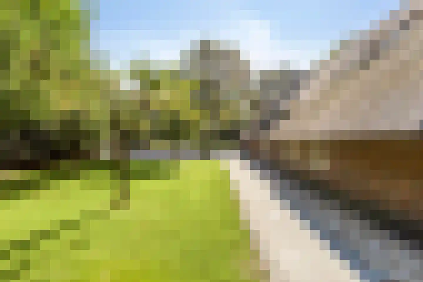 Loosbroeksestraat 10 Heesch thumbnail 94