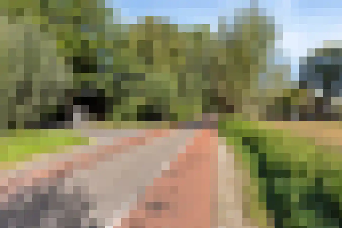 Loosbroeksestraat 10 Heesch thumbnail 95