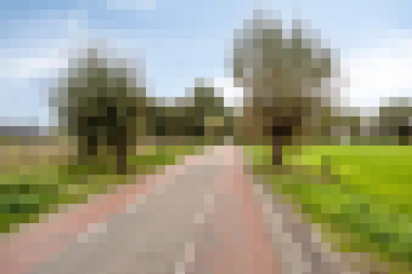 Loosbroeksestraat 10 Heesch thumbnail 96