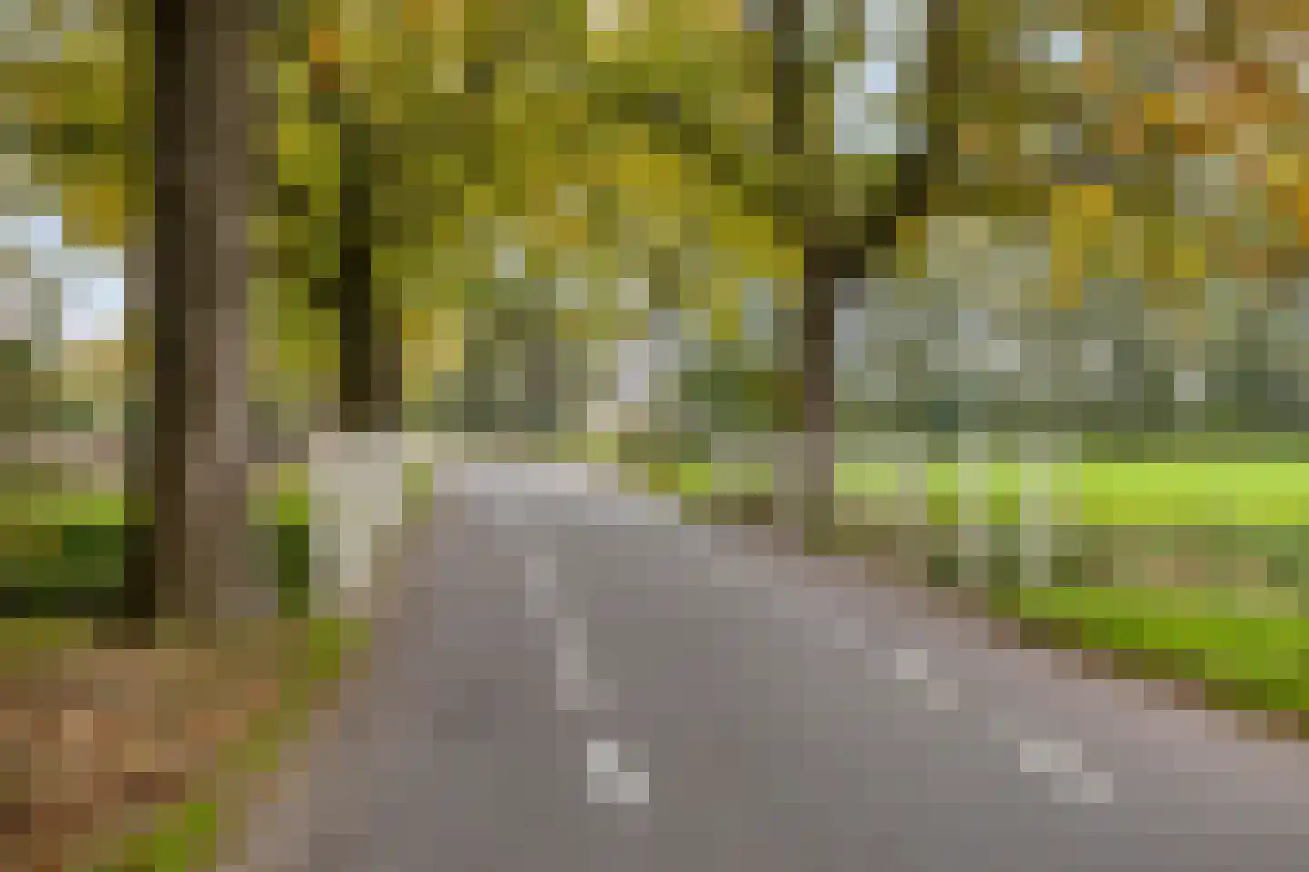 Loosbroeksestraat 10 Heesch thumbnail 97