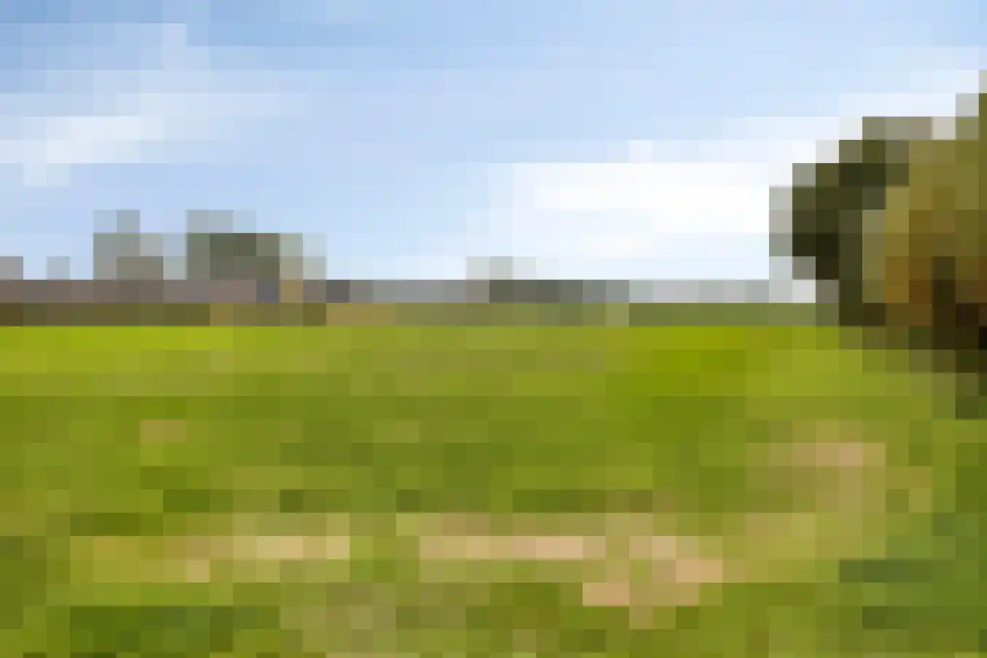 Loosbroeksestraat 10 Heesch thumbnail 98