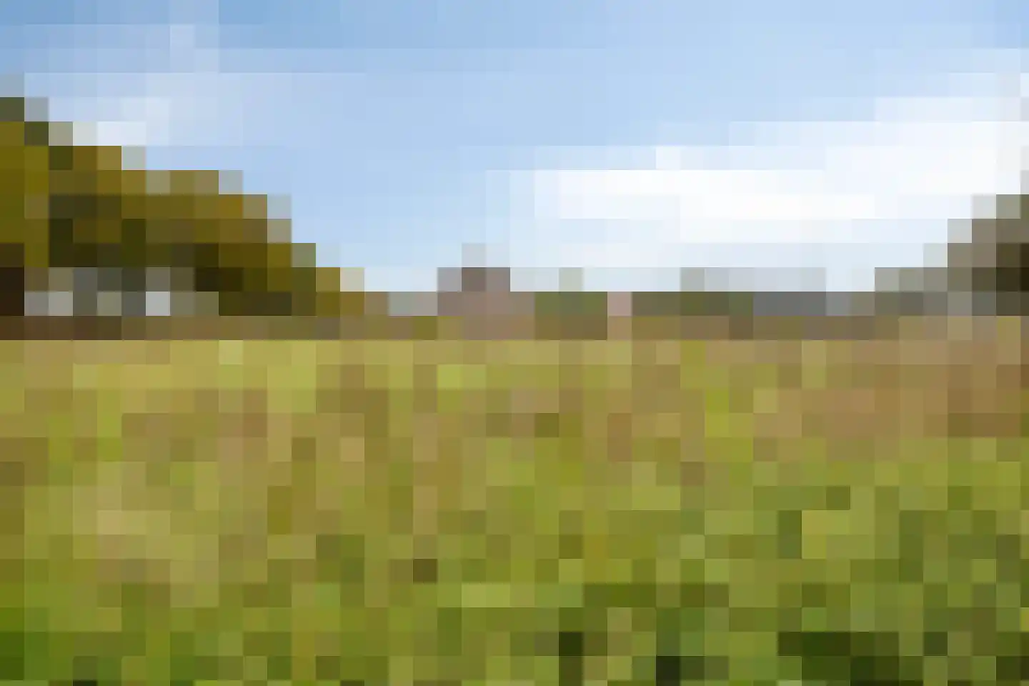 Loosbroeksestraat 10 Heesch thumbnail 99