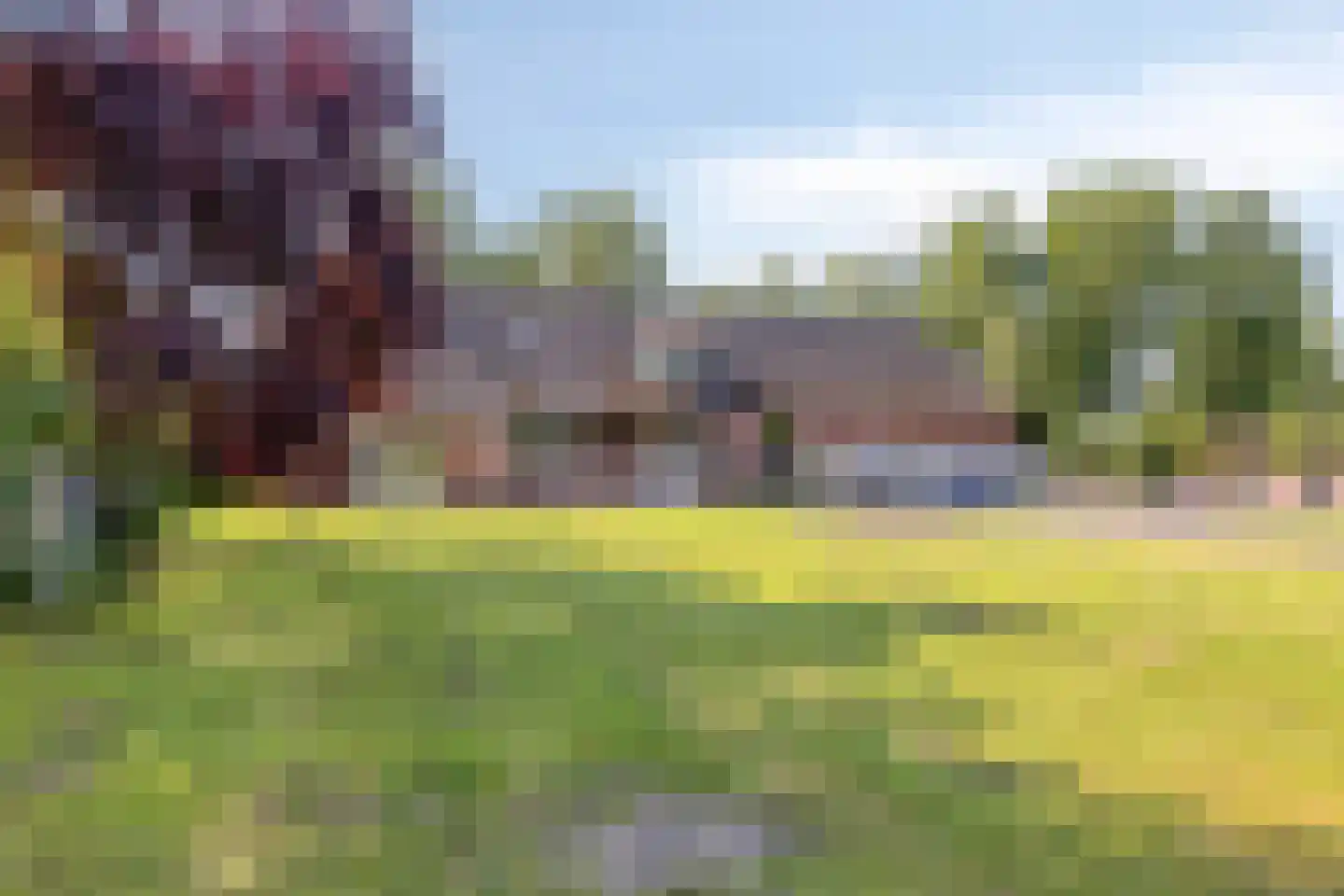 Loosbroekseweg 54 a Nistelrode thumbnail 10