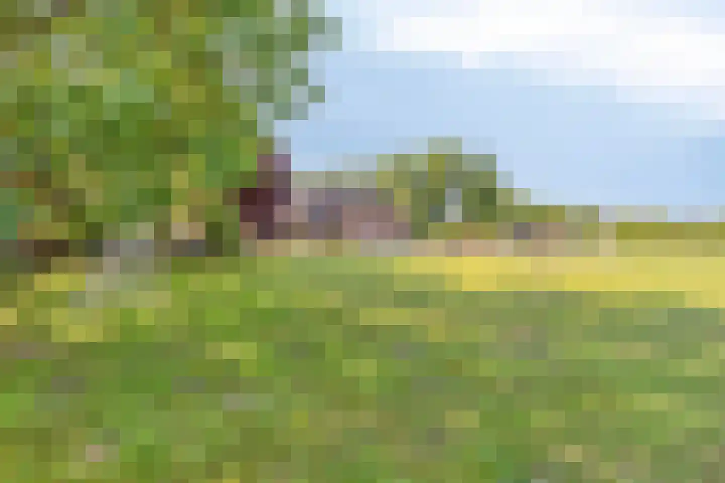 Loosbroekseweg 54 a Nistelrode thumbnail 6
