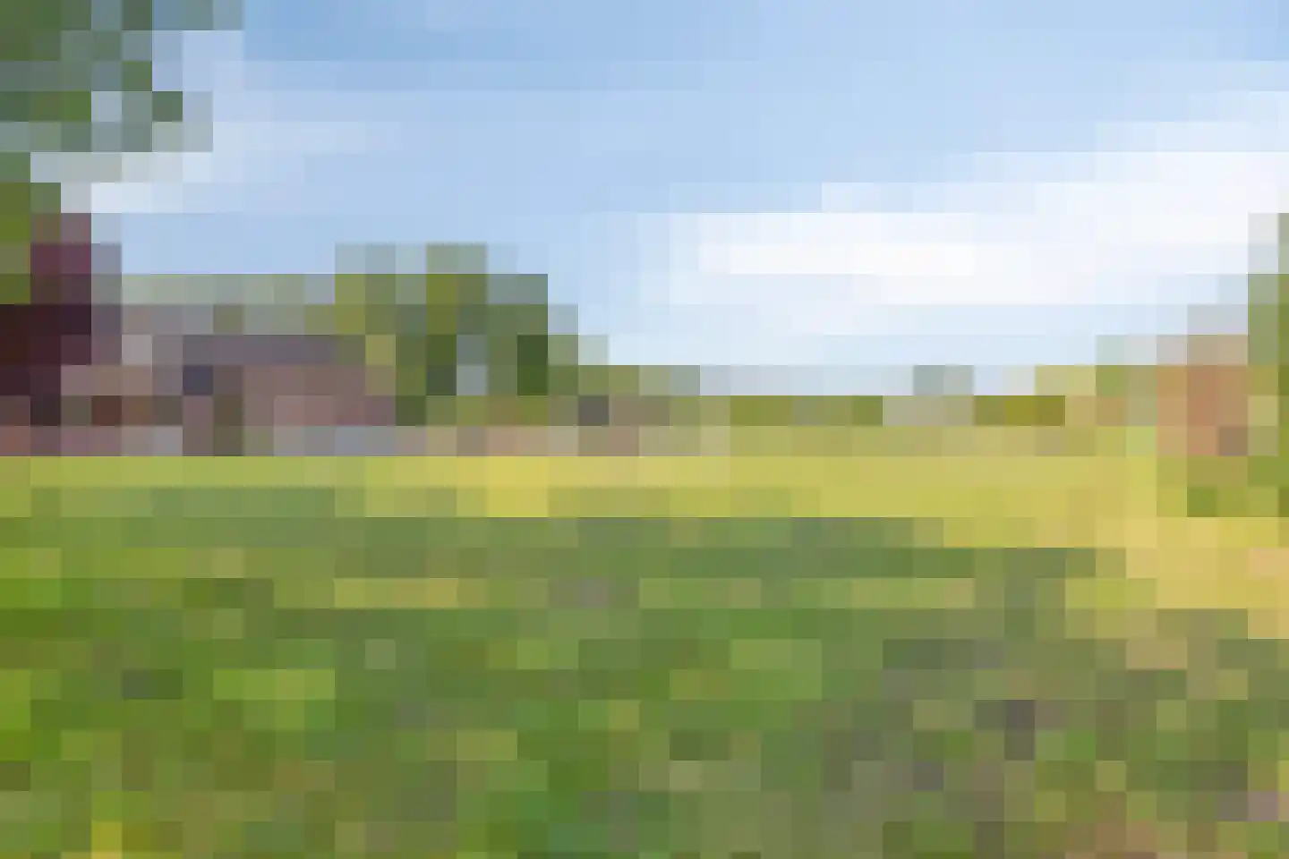 Loosbroekseweg 54 a Nistelrode thumbnail 6