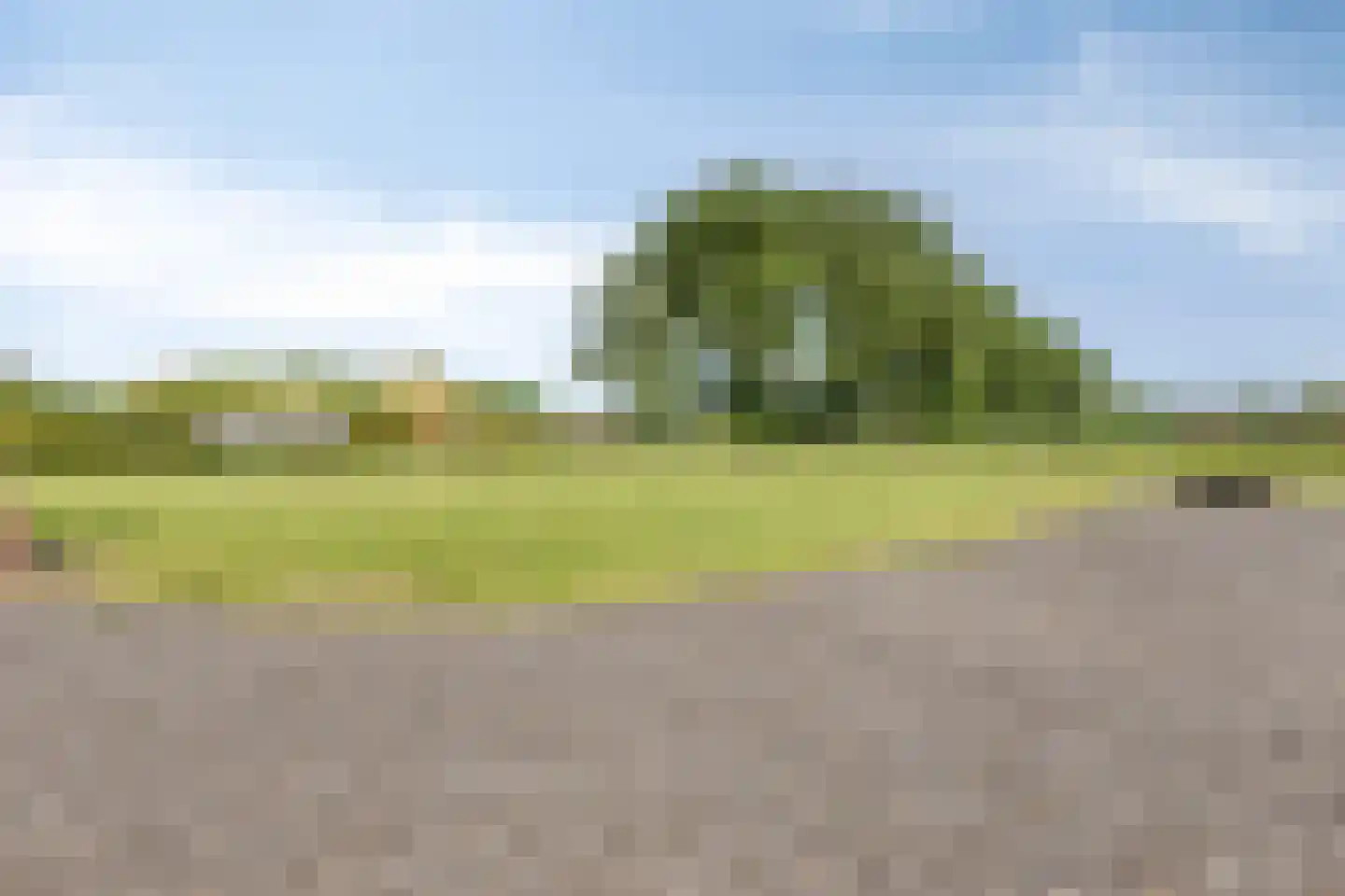 Loosbroekseweg 54 Nistelrode thumbnail 16