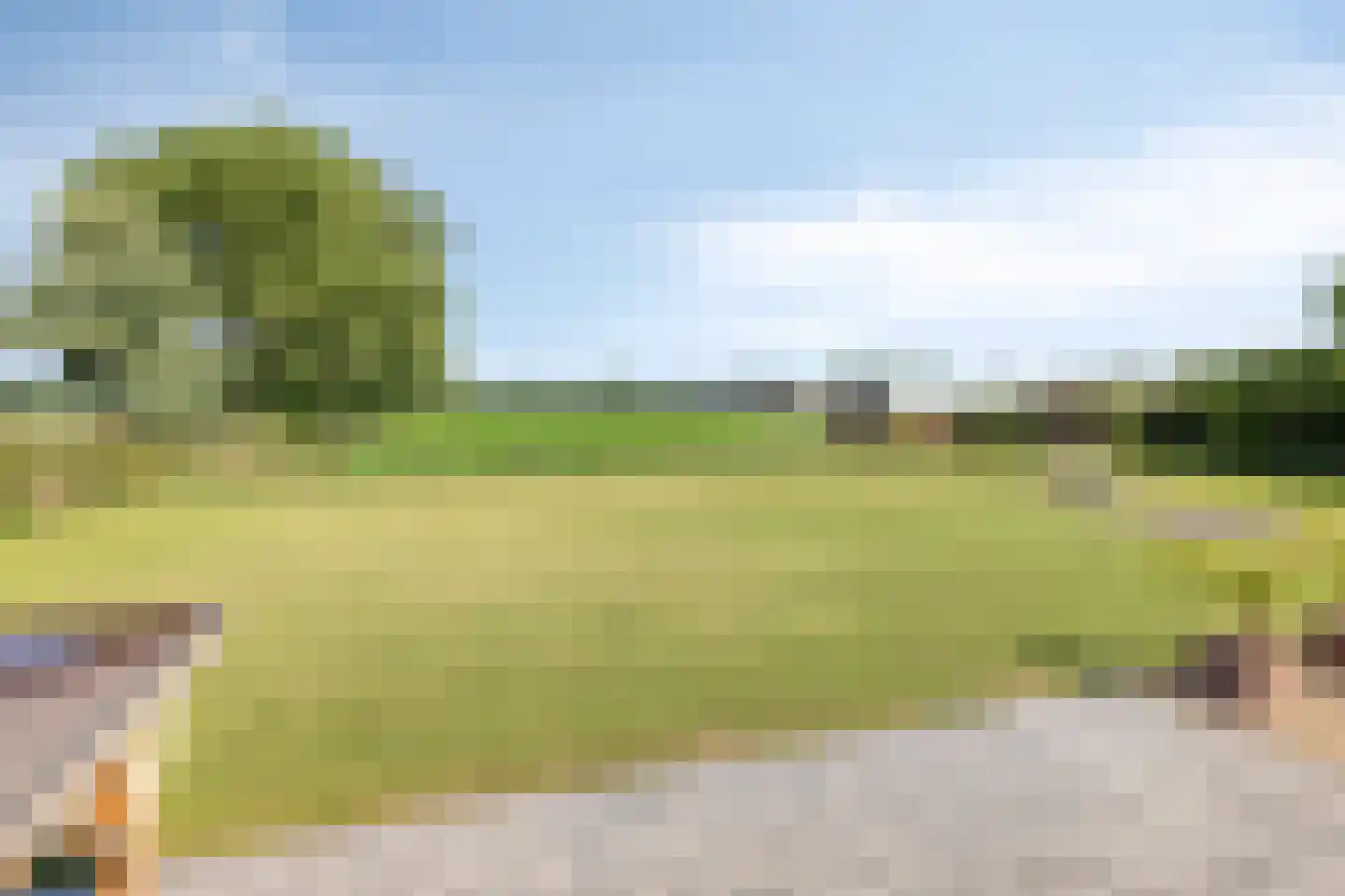 Loosbroekseweg 54 Nistelrode thumbnail 11