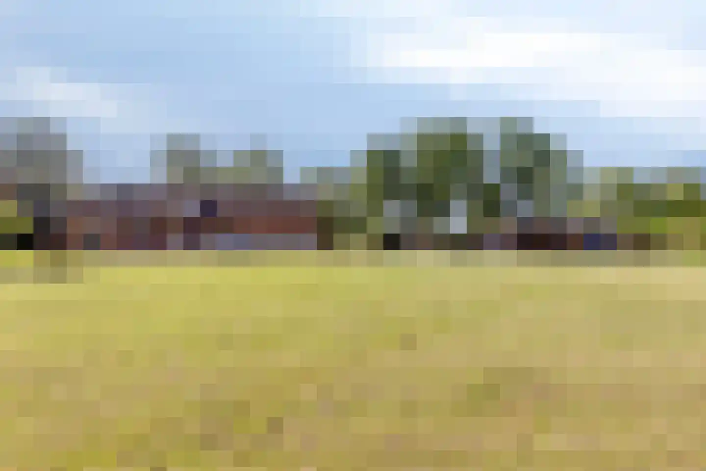 Loosbroekseweg 54 Nistelrode thumbnail 19