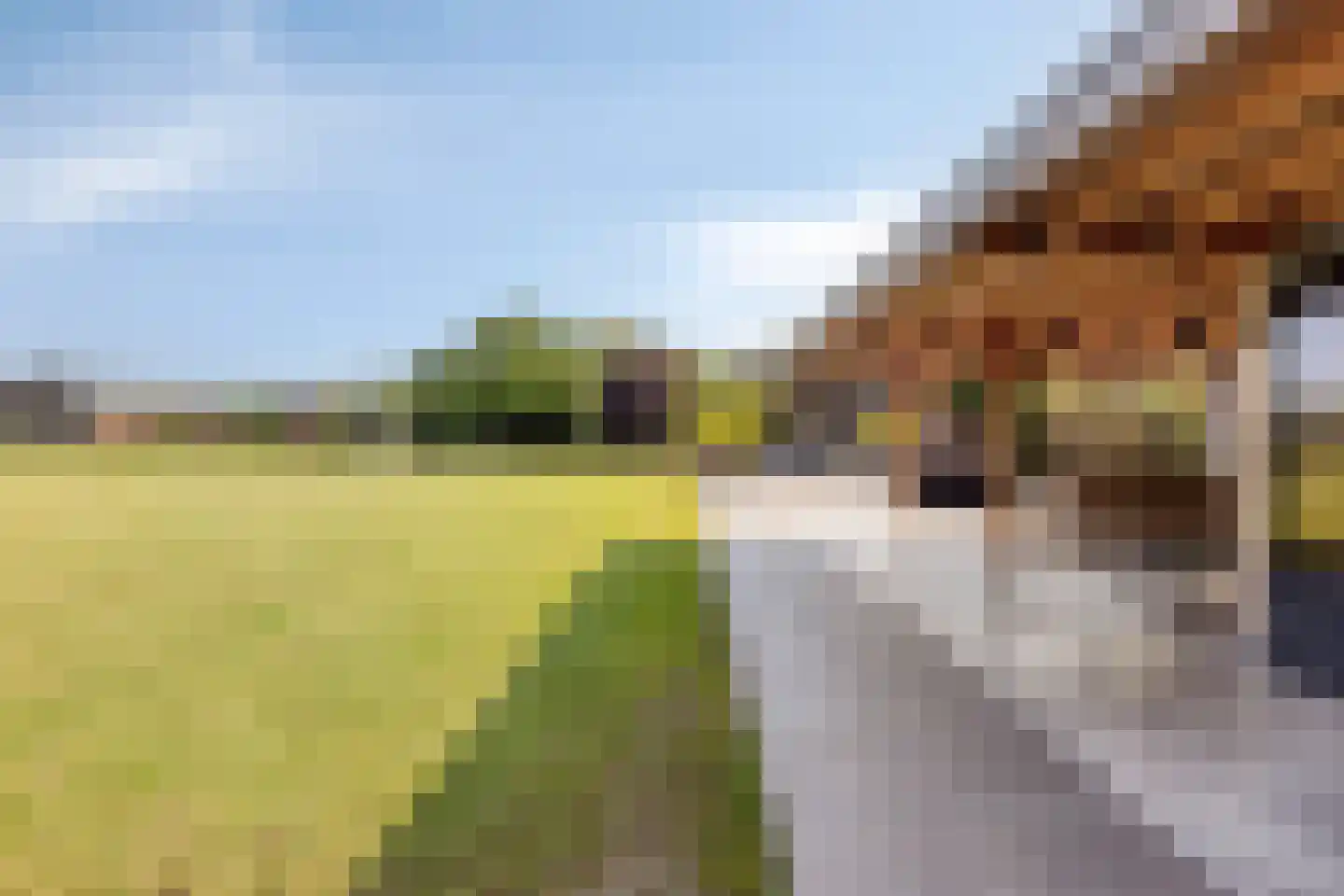 Loosbroekseweg 54 Nistelrode thumbnail 20