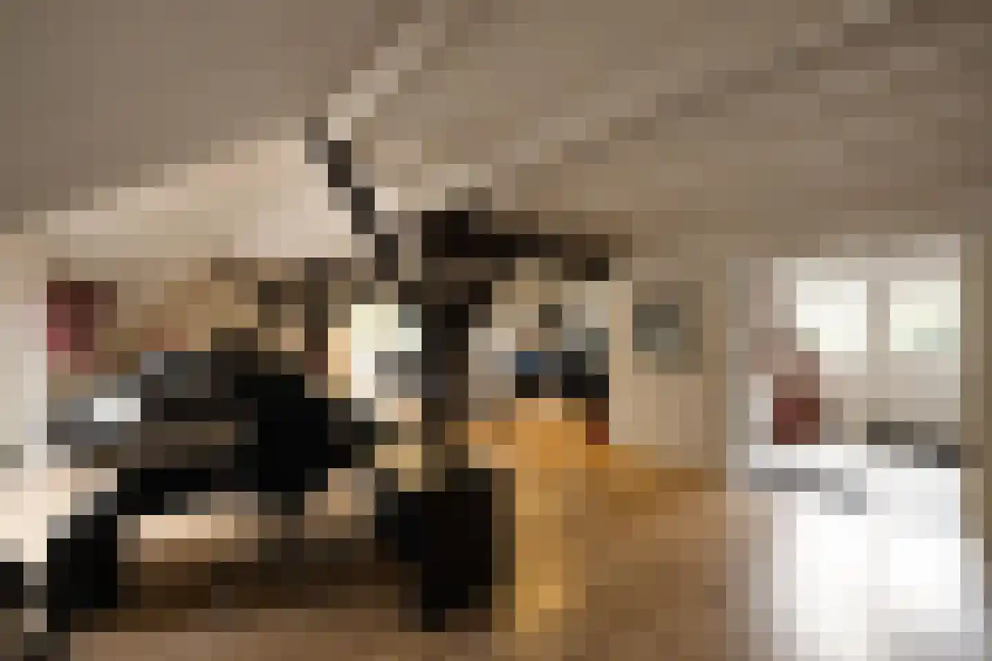 Loosdorp 24 Leerdam thumbnail 25