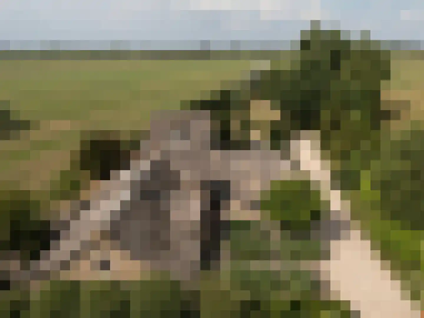 Loosdorp 24 Leerdam thumbnail 63